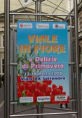 Viale in fiore